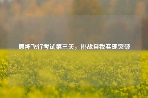 原神飞行考试第三关，挑战自我实现突破