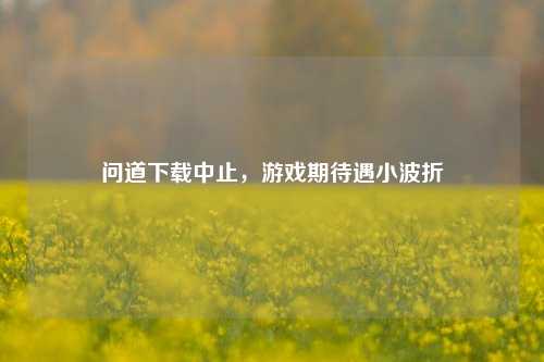 问道下载中止,游戏期待遇小波折