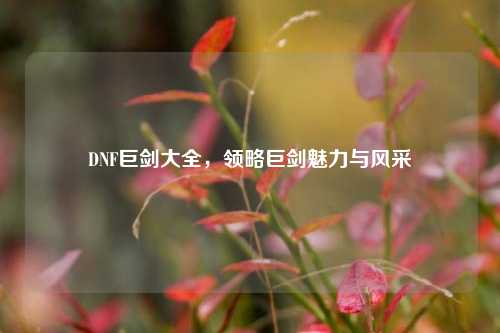 DNF巨剑大全,领略巨剑魅力与风采