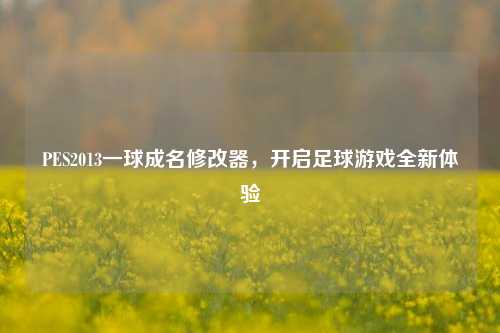 PES2013一球成名修改器，开启足球游戏全新体验