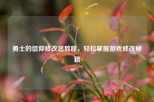 勇士的信仰修改器教程，轻松掌握游戏修改秘籍