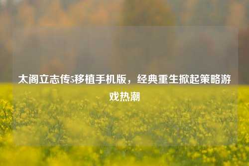 太阁立志传5移植手机版，经典重生掀起策略游戏热潮