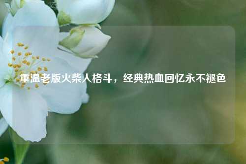 重温老版火柴人格斗，经典热血回忆永不褪色