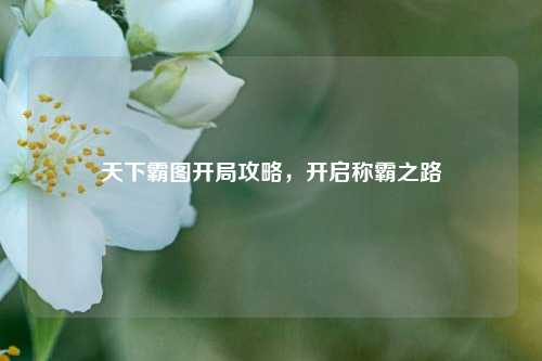 天下霸图开局攻略,开启称霸之路