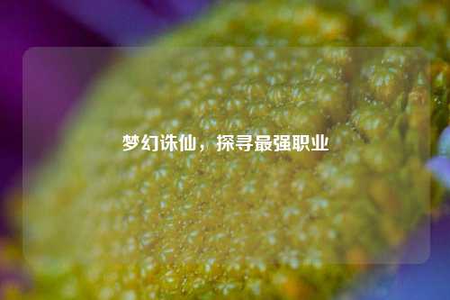 梦幻诛仙，探寻最强职业