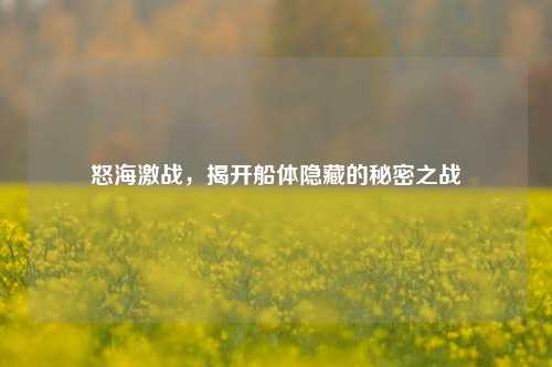 怒海激战,揭开船体隐藏的秘密之战