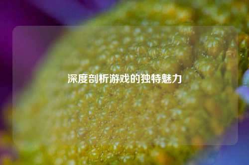 深度剖析游戏的独特魅力