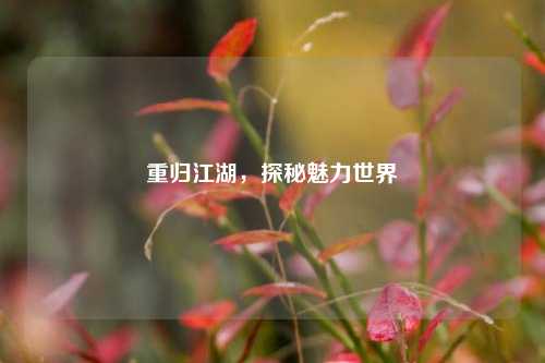 重归江湖，探秘魅力世界