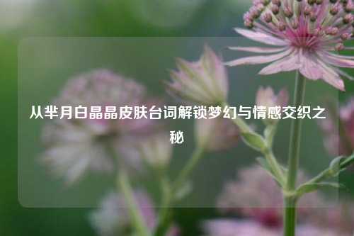 从芈月白晶晶皮肤台词解锁梦幻与情感交织之秘