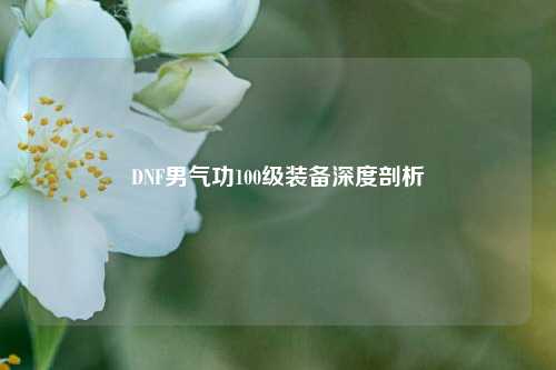 DNF男气功100级装备深度剖析