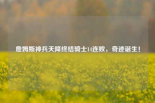 詹姆斯神兵天降终结骑士14连败,奇迹诞生!