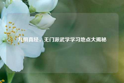 九阴真经,无门派武学学习地点大揭秘