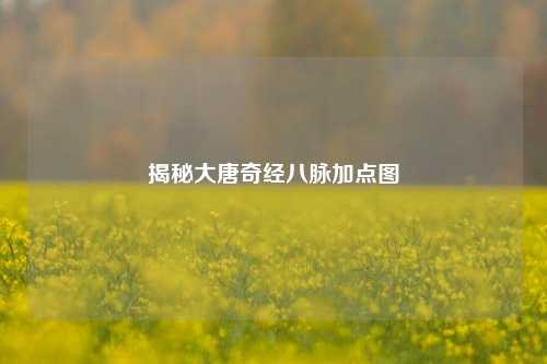 揭秘大唐奇经八脉加点图