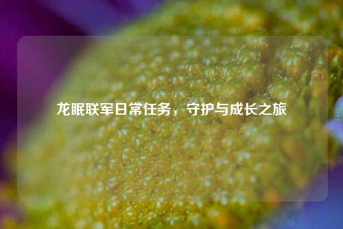 龙眠联军日常任务，守护与成长之旅