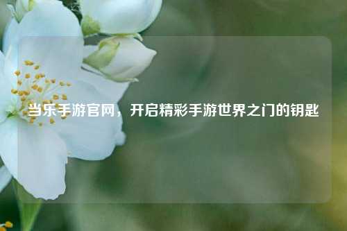当乐手游官网，开启精彩手游世界之门的钥匙