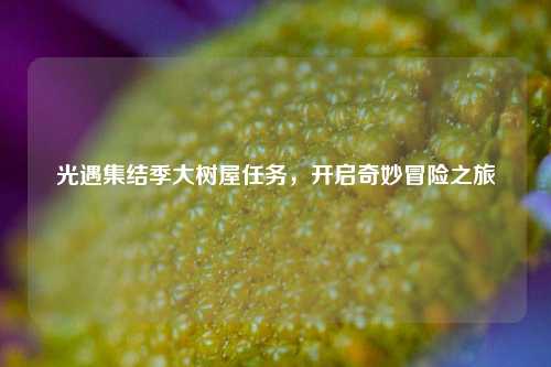 光遇集结季大树屋任务,开启奇妙冒险之旅