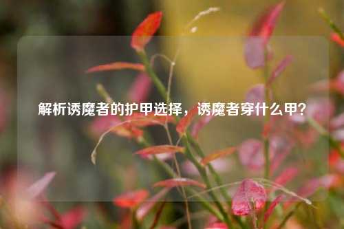 解析诱魔者的护甲选择，诱魔者穿什么甲？