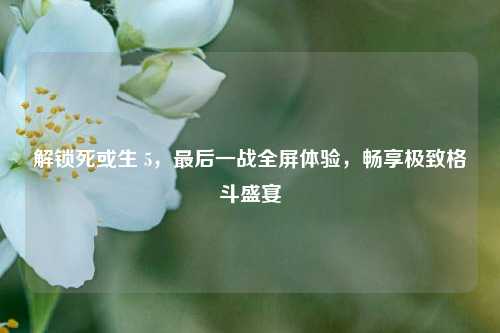 解锁死或生 5，最后一战全屏体验，畅享极致格斗盛宴