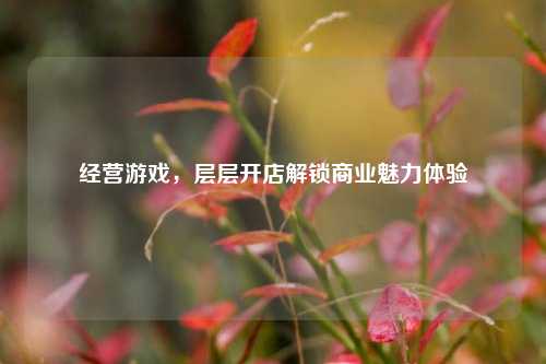 经营游戏，层层开店解锁商业魅力体验