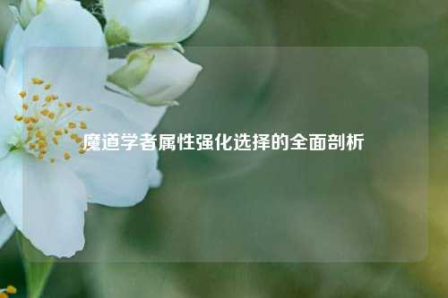 魔道学者属性强化选择的全面剖析