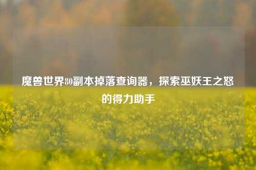 魔兽世界80副本掉落查询器,探索巫妖王之怒的得力助手