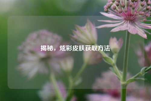 揭秘，炫彩皮肤获取方法