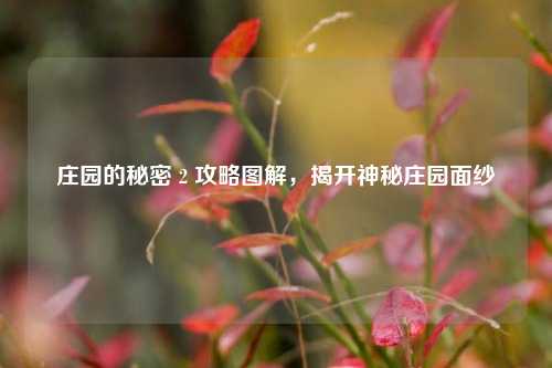 庄园的秘密 2 攻略图解,揭开神秘庄园面纱