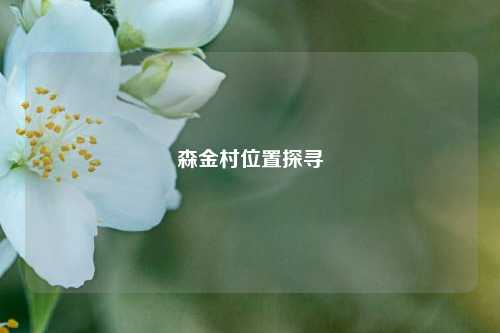 森金村位置探寻