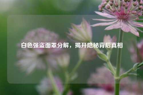 白色强盗面罩分解，揭开隐秘背后真相