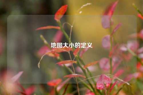 地图大小的定义
